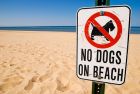 Община Варна напомня: Забранено е да водите кучето на плажа